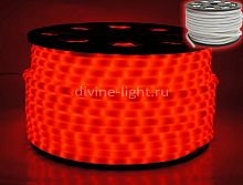 Дюралайт Rich LED RL-DL-2WHM-100-240-R