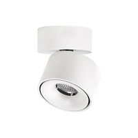 Спот Citilux CL558010N