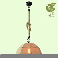 Подвесной светильник LOFT GRLSP-9667