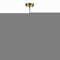 Подвесная люстра ST-Luce SL1159.303.05
