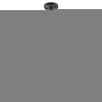 Подвесной светильник ARTE Lamp A9915SP-1BK