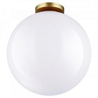 Накладной светильник Odeon Light 4250/1C