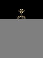 Люстра на штанге Bohemia Ivele Crystal 19101/H1/55IV G