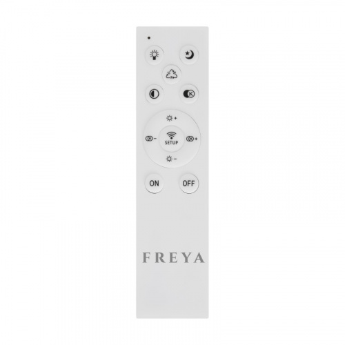 Накладной светильник Freya FR10032CL-L98B фото 6