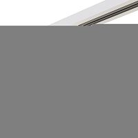 Светильник на шине Lightstar A1T051016