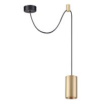 Подвесной светильник Odeon Light 3898/1