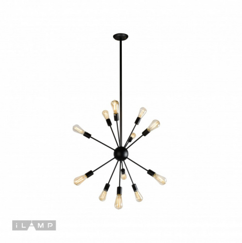 Подвесная люстра iLamp Loft209-12B
